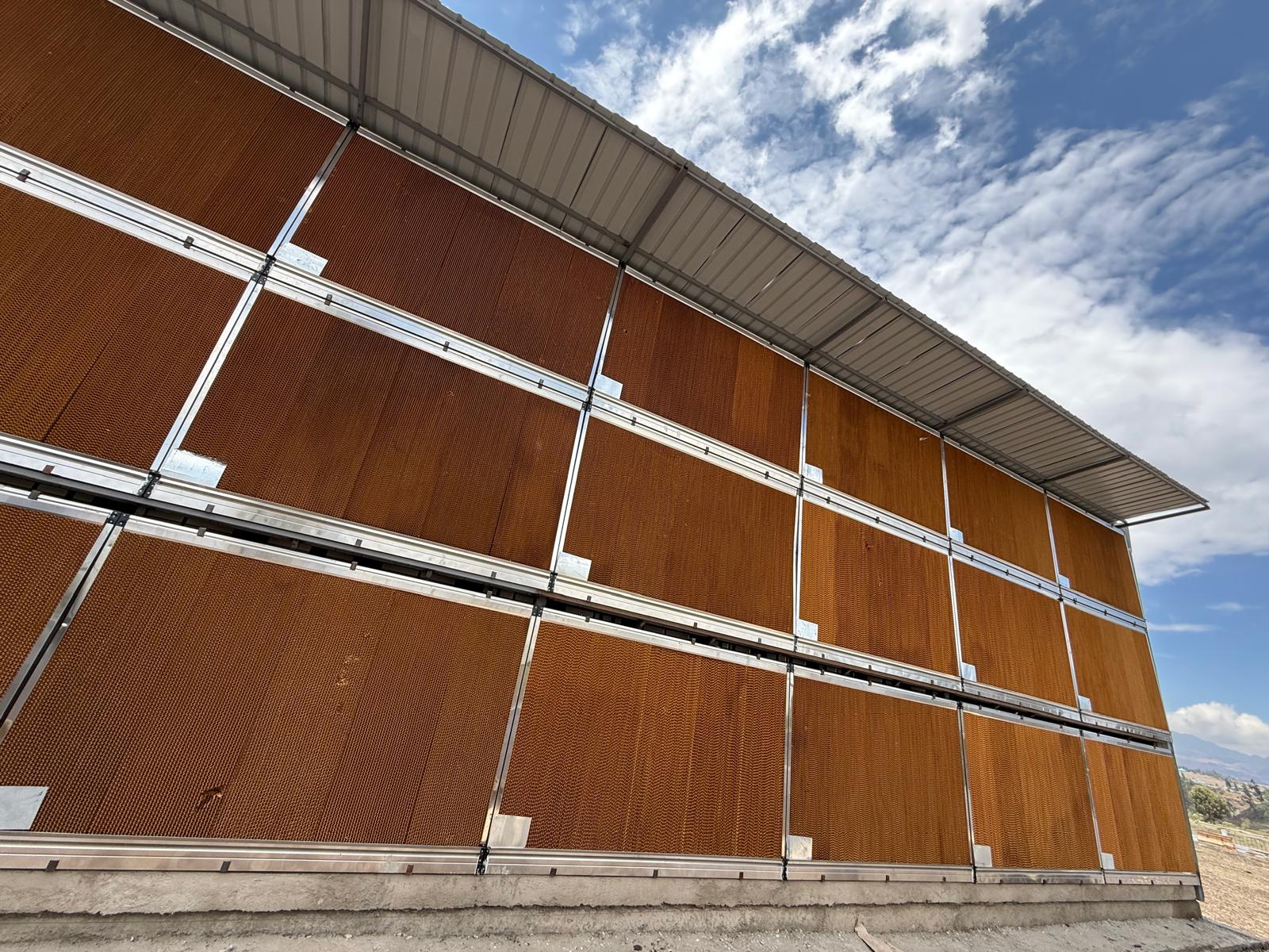 WhatsApp Image 2025-05-06 at 14.10.03